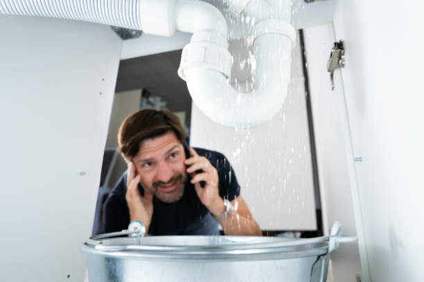 Best Sewer Line Repair  in Danville, IA