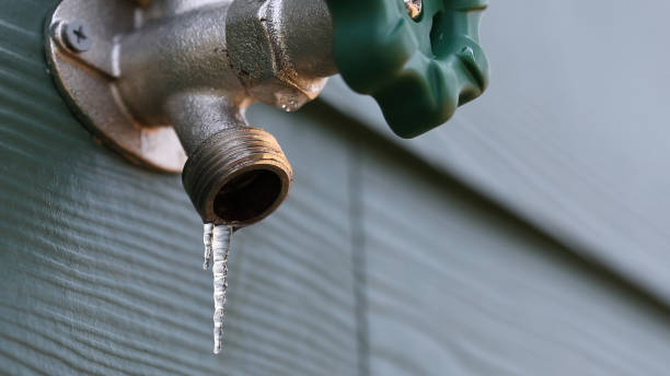 Best Water Leak Repair  in Danville, IA