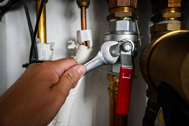Best Affordable Plumber Near Me  in Danville, IA